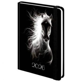 ���������� ������������ 2026 � �������� 145�203��, �5, BRAUBERG, �������, "������ ����", 117335 - ������� ������