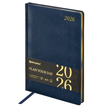   2026   210297 4, BRAUBERG Iguana,  , , 117245 -  