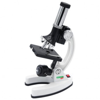     , 74 ,  ..   16   ,  300,600,1200, BRAUBERG KIDS, 391399 -  