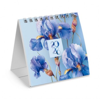 ���������-����� ���������� �� ������, 2026�, BRAUBERG, 101�101��, �����, 117275 - ������� ������