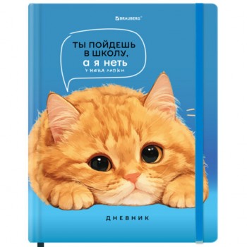 ������� 1-11 ����� 48�, �������, BRAUBERG, ������� ���������, �������, ��������-�����, � ���������, �����, 107239 - ������� ������