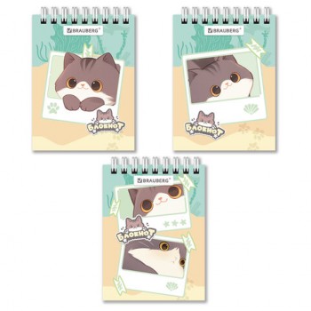 ������� ����� ������ �7 75�105��, 40�, �������, ������, ������, BRAUBERG ����� ����, 116988 - ������� ������