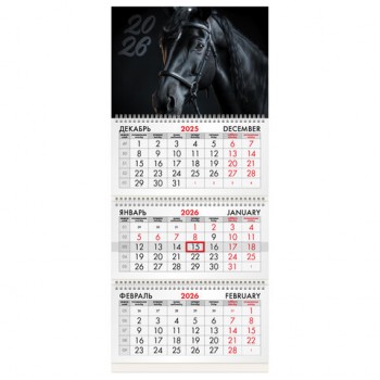 ��������� ����������� 2026�, 3 ����� 3 ������ �������, ���������� ������, BRAUBERG, ������ ���, 116790 - ������� ������