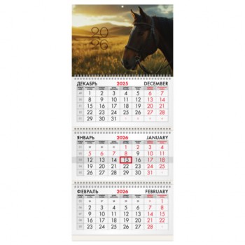 ��������� ����������� 2026�, 3 ����� 3 ������ �������, ���������� ������, BRAUBERG, ������ ���� 2026, 116802 - ������� ������