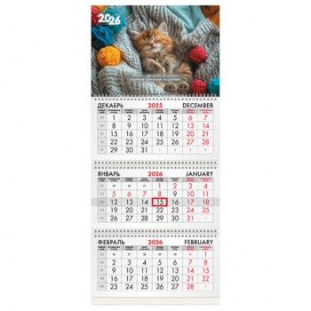 ��������� ����������� 2026�, 3 ����� 3 ������ �������, ���������� ������, BRAUBERG, �������, 116805 - ������� ������