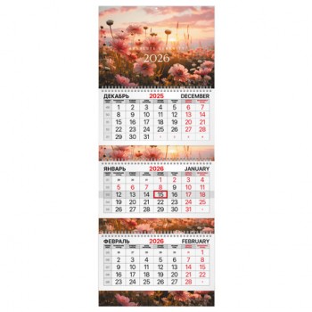 ��������� ����������� 2026�, 3 ����� 3 ������ �������, ���������� ������, BRAUBERG EXTRA, �����, 116811 - ������� ������