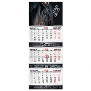 ��������� ����������� 2026�, 3 ����� 3 ������ �������, ���������� ������, BRAUBERG EXTRA, ������ ���� 1, 116812 - ������� ������