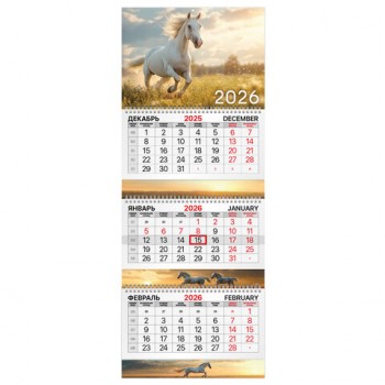 ��������� ����������� 2026�, 3 ����� 3 ������ �������, ���������� ������, BRAUBERG EXTRA, ������ ���� 3, 116821 - ������� ������