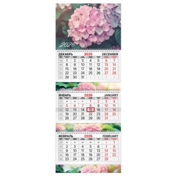 ��������� ����������� 2026�, 3 ����� 3 ������ �������, ���������� ������, BRAUBERG EXTRA, �����, 116826 - ������� ������