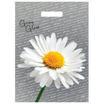 ����� � �������� ������ ���, 43�31,5��, "���� ����� �������", 50���, ��1701, �00269304 - ������� ������