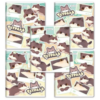 ������ ������� �5 48�. BRAUBERG ����� ���� �����, ������, ���������� ���, 405193 - ������� ������