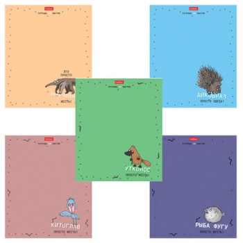 ������� �5, 48 �., HATBER �����, ������, ������� ���������, "��������� �����" (���� � ������), 088437, 48�5���1 - ������� ������