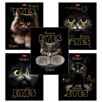 ������� �5 48 �., HATBER �����, ������, ������� ���������, 3D-���, "��������� �����" (����), 088313, 48�5����1 - ������� ������