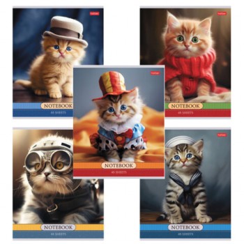 ������� �5 48 �., HATBER �����, ������, ������� ������, "������-�������" (���� � ������), 085664, 48�5�1 - ������� ������