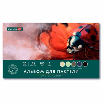 ������ ��� ������� ������� �3, 20 ������ 5 ������, 180��/�2, �������, BRAUBERG ART CLASSIC, 116344 - ������� ������