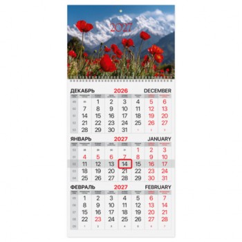 ��������� ����������� �� 2027 �., 1 ����, 1 �������, �������, �����, BRAUBERG, "������� ����", 118392 - ������� ������
